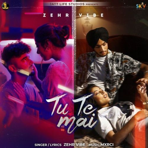 Tu Te Mai Zehr Vibe mp3 song download, Tu Te Mai Zehr Vibe full album