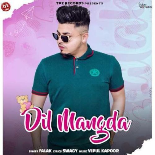 Dil Mangda Falak mp3 song download, Dil Mangda Falak full album
