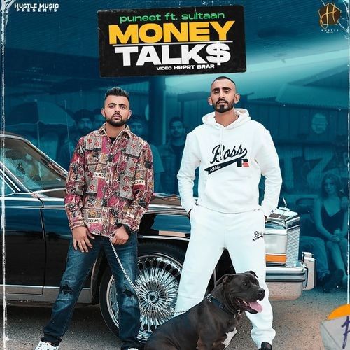 Money Talks Puneet, Sultaan mp3 song download, Money Talks Puneet, Sultaan full album