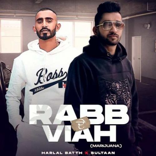 Rabb De Viah Harlal Batth, Sultaan mp3 song download, Rabb De Viah Harlal Batth, Sultaan full album