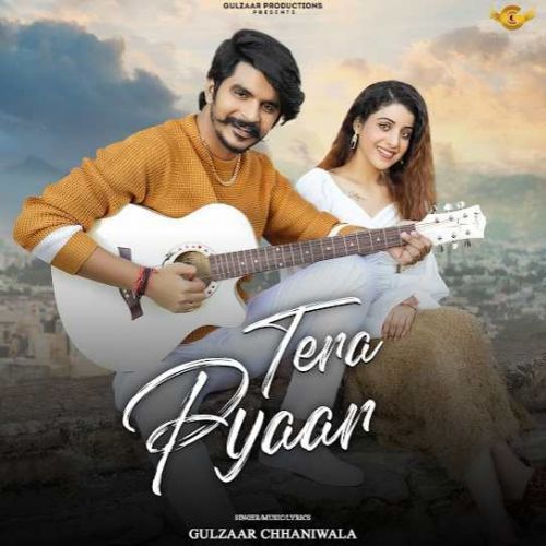 Tera Pyaar Gulzaar Chhaniwala mp3 song download, Tera Pyaar Gulzaar Chhaniwala full album