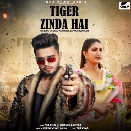 Tiger Zinda Hai The King, Gurlej Akhtar mp3 song download, Tiger Zinda Hai The King, Gurlej Akhtar full album