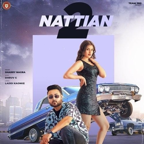 2 Nattian Sharry Nagra mp3 song download, 2 Nattian Sharry Nagra full album