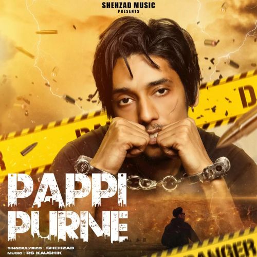 Pappi Purne Shehzad mp3 song download, Pappi Purne Shehzad full album