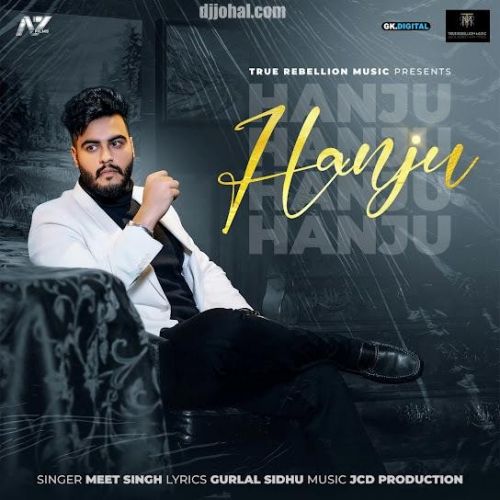 Hanju Meet Singh mp3 song download, Hanju Meet Singh full album