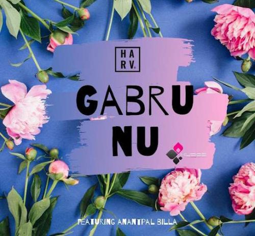 Gabru Nu DJ Harv mp3 song download, Gabru Nu DJ Harv full album