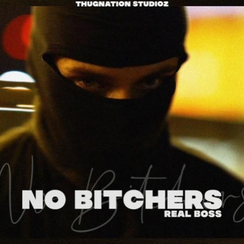 No Bitches Real Boss mp3 song download, No Bitches Real Boss full album