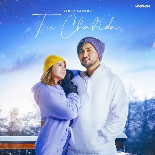 Tu Chahida Vicky Sandhu mp3 song download, Tu Chahida Vicky Sandhu full album