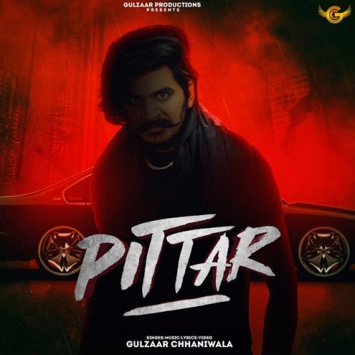Pittar Gulzaar Chhaniwala mp3 song download, Pittar Gulzaar Chhaniwala full album