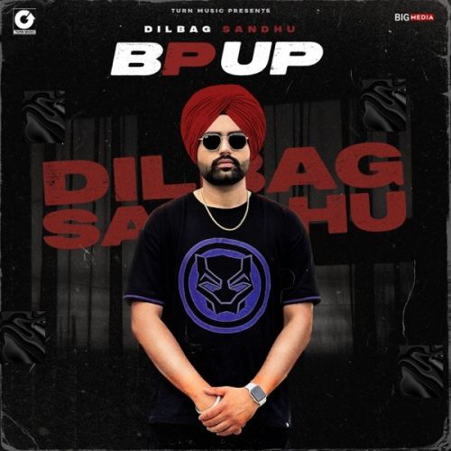 Bp Up Dilbag Sandhu mp3 song download, Bp Up Dilbag Sandhu full album