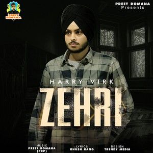 Zehri Harry Virk mp3 song download, Zehri Harry Virk full album