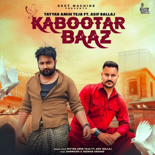 Kabootar Baaz Tayyab Amin Teja mp3 song download, Kabootar Baaz Tayyab Amin Teja full album