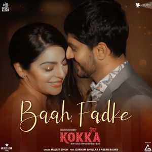 Baah Fadke Malkit Singh mp3 song download, Baah Fadke (Kokka) Malkit Singh full album
