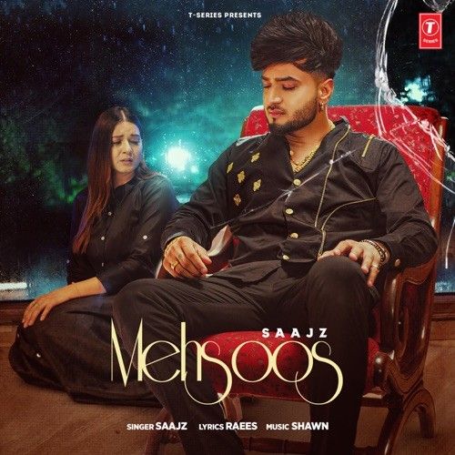 Mehsoos Saajz mp3 song download, Mehsoos Saajz full album