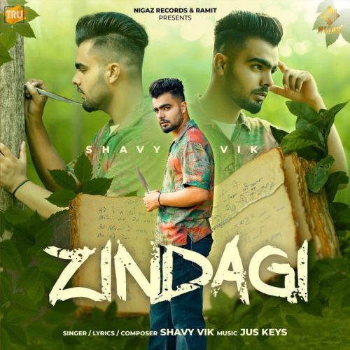 Zindagi Shavy Vik mp3 song download, Zindagi Shavy Vik full album