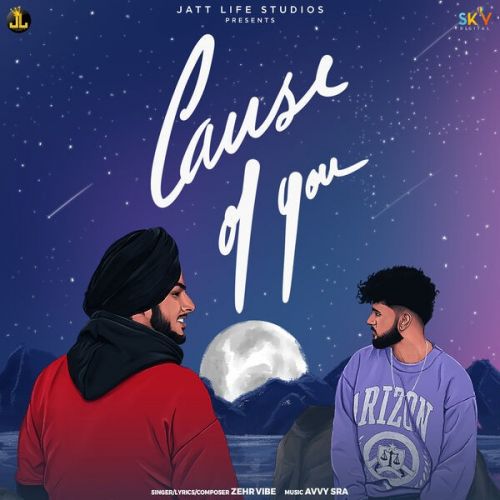 Cause Of You Zehr Vibe mp3 song download, Cause Of You Zehr Vibe full album