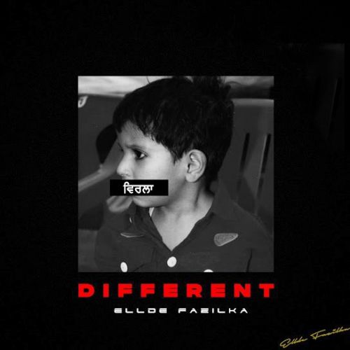 Different Ellde Fazilka mp3 song download, Different (Mix Tape) Ellde Fazilka full album