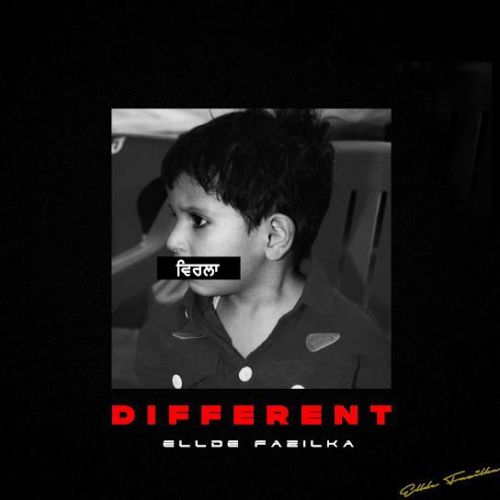 No Fcks Ellde Fazilka mp3 song download, Different (Mix Tape) Ellde Fazilka full album