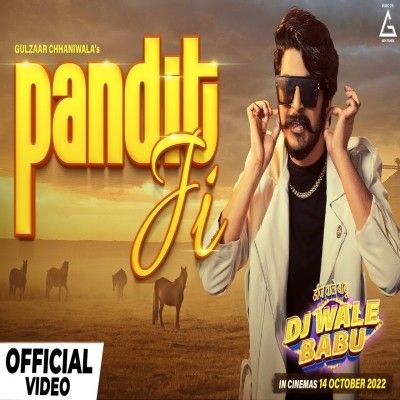 Pandit Ji Gulzaar Chhaniwala mp3 song download, Pandit Ji Gulzaar Chhaniwala full album
