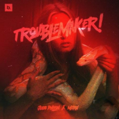 Trouble Maker Jassa Dhillon mp3 song download, Trouble Maker Jassa Dhillon full album