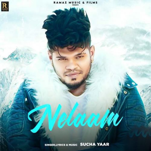 Nelaam Sucha Yaar mp3 song download, Nelaam Sucha Yaar full album