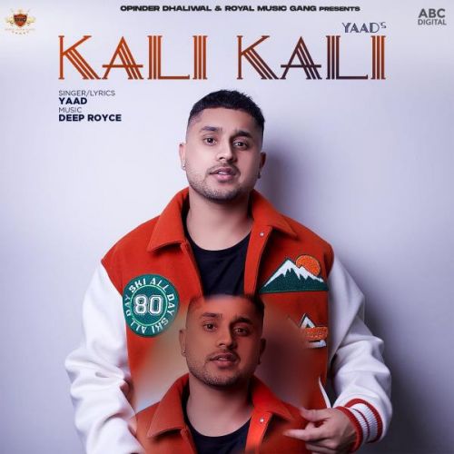 Kali Kali Yaad mp3 song download, Kali Kali Yaad full album