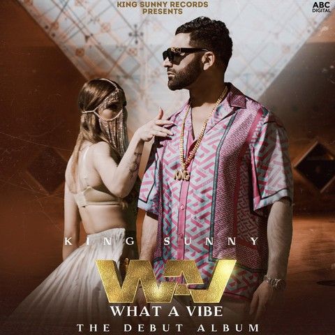 King Talk King Sunny mp3 song download, WAV (What A Vibe) King Sunny full album