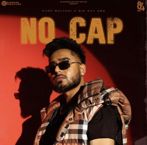 No Cap Harp Multani mp3 song download, No Cap Harp Multani full album