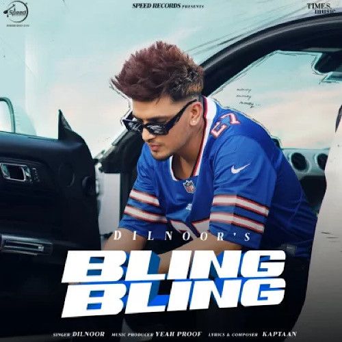 Bling Bling Dilnoor mp3 song download, Bling Bling Dilnoor full album