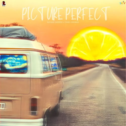 Picture Perfect Navaan Sandhu mp3 song download, Picture Perfect Navaan Sandhu full album