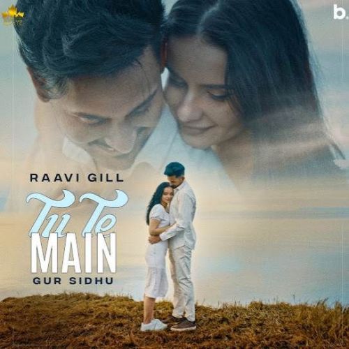 Tu Te Main Raavi Gill mp3 song download, Tu Te Main Raavi Gill full album