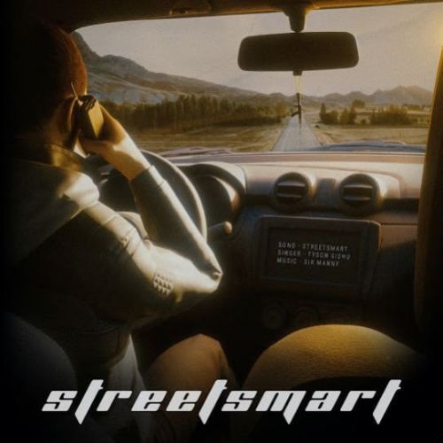 Street Smart Tyson Sidhu mp3 song download, Street Smart Tyson Sidhu full album