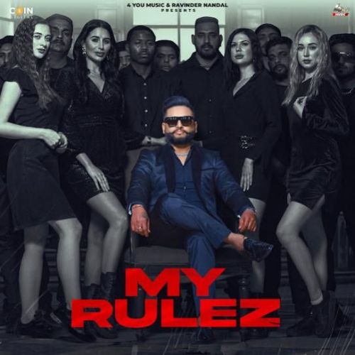 My Rulez DJ Flow mp3 song download, My Rulez DJ Flow full album