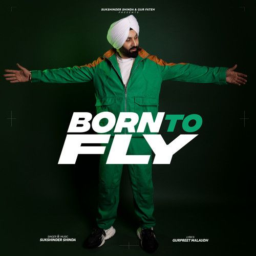 Born To Fly Sukshinder Shinda mp3 song download, Born To Fly Sukshinder Shinda full album