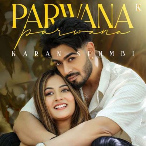 PARWANA Karan Sehmbi mp3 song download, PARWANA Karan Sehmbi full album
