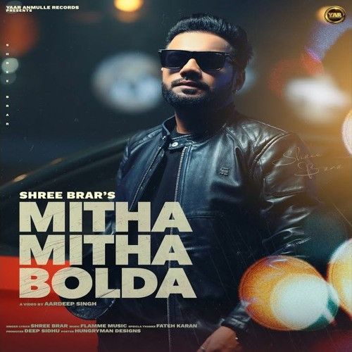 Mitha Mitha Bolda Shree Brar mp3 song download, Mitha Mitha Bolda Shree Brar full album