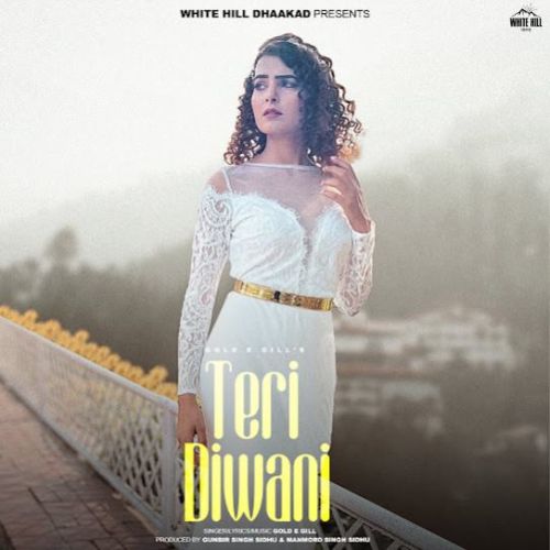 Teri Diwani Gold E Gill mp3 song download, Teri Diwani Gold E Gill full album