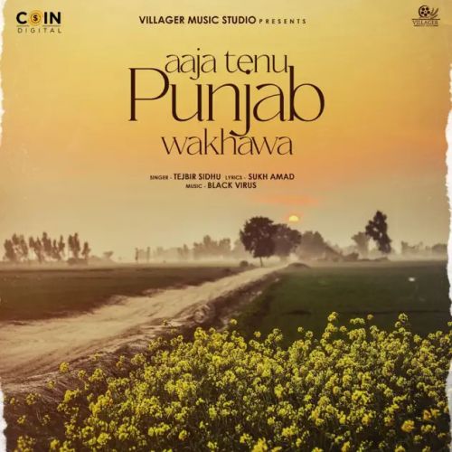 Aaja Tenu Punjab Wakhawa Tejbir Sidhu mp3 song download, Aaja Tenu Punjab Wakhawa Tejbir Sidhu full album