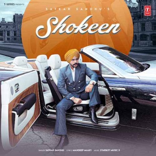 Shokeen Satkar Sandhu mp3 song download, Shokeen Satkar Sandhu full album