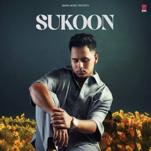 Sukoon Harvi mp3 song download, Sukoon Harvi full album