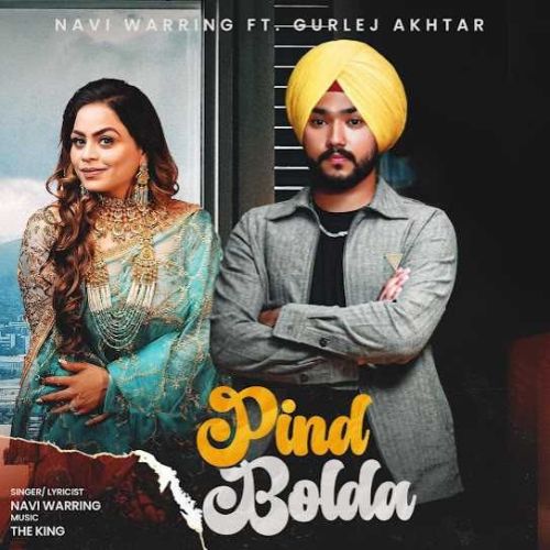 Pind Bolda Navi Warring mp3 song download, Pind Bolda Navi Warring full album