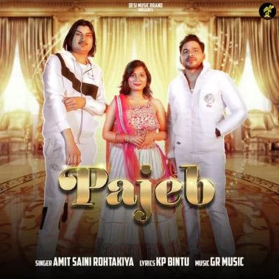 Pajeb Amit Saini Rohtakiya mp3 song download, Pajeb Amit Saini Rohtakiya full album