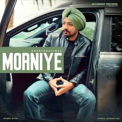 Morniye Harry Dhaliwal mp3 song download, Morniye Harry Dhaliwal full album