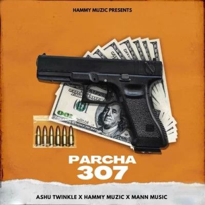 Parcha 307 Hammy Muzic, Ashu Twinkle mp3 song download, Parcha 307 Hammy Muzic, Ashu Twinkle full album