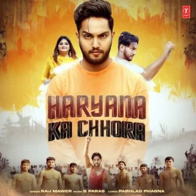 Haryana Ka Chhora Raj Mawer mp3 song download, Haryana Ka Chhora Raj Mawer full album