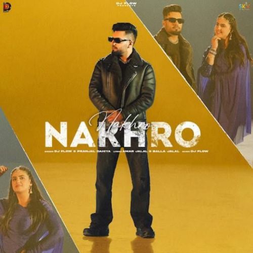 Nakhro DJ Flow mp3 song download, Nakhro DJ Flow full album