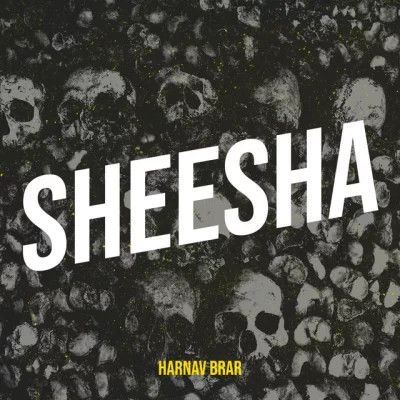 Sheesha Harnav Brar mp3 song download, Sheesha Harnav Brar full album