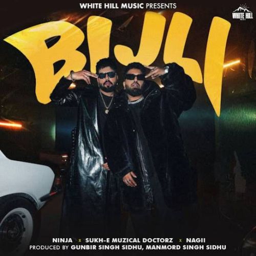 Bijli Ninja mp3 song download, Bijli Ninja full album