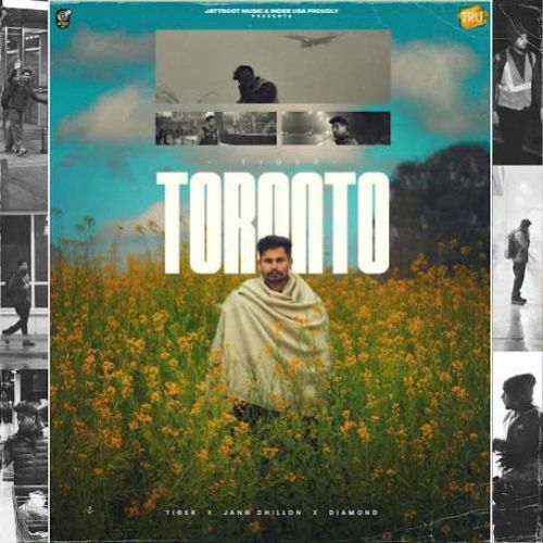 Toronto Tiger mp3 song download, Toronto Tiger full album