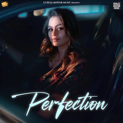 Perfection Gurlez Akhtar mp3 song download, Perfection Gurlez Akhtar full album